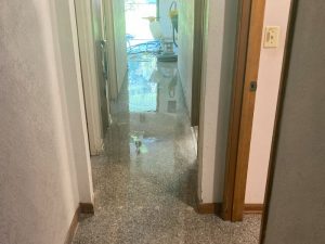 Read more about the article Terrazzo Restoration on Ivey Rd Casselberry