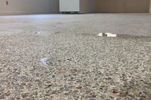 Read more about the article Terrazzo Restoration on Temple Grove Dr Winter Garden